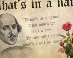 What’s in a name?